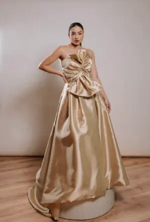 Modelo Ayla