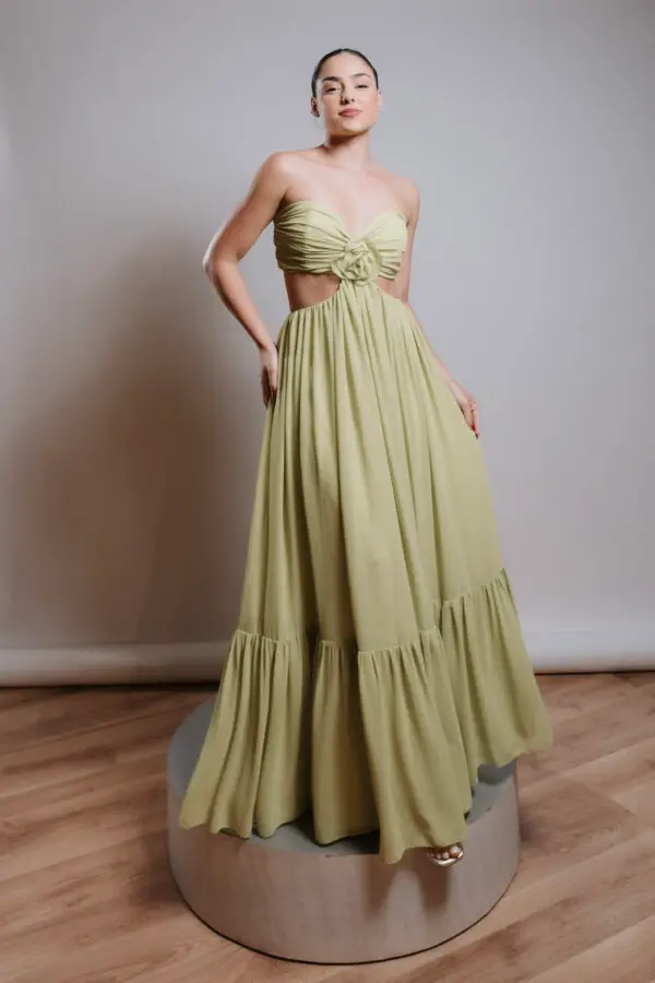 Modelo Amélia