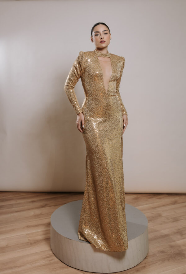 Modelo Cisne - Image 2
