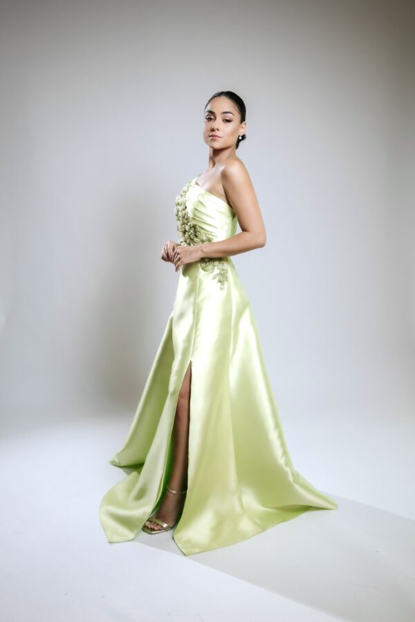 Modelo Betina - Image 2